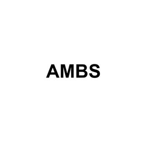 AMBS Real Estate Development