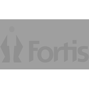 Fortis Plus Holdings Ltd