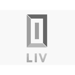 LIV Real Estate Development