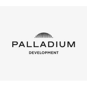 Palladium Development