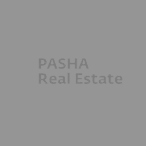 Pasha One Real Estate Development